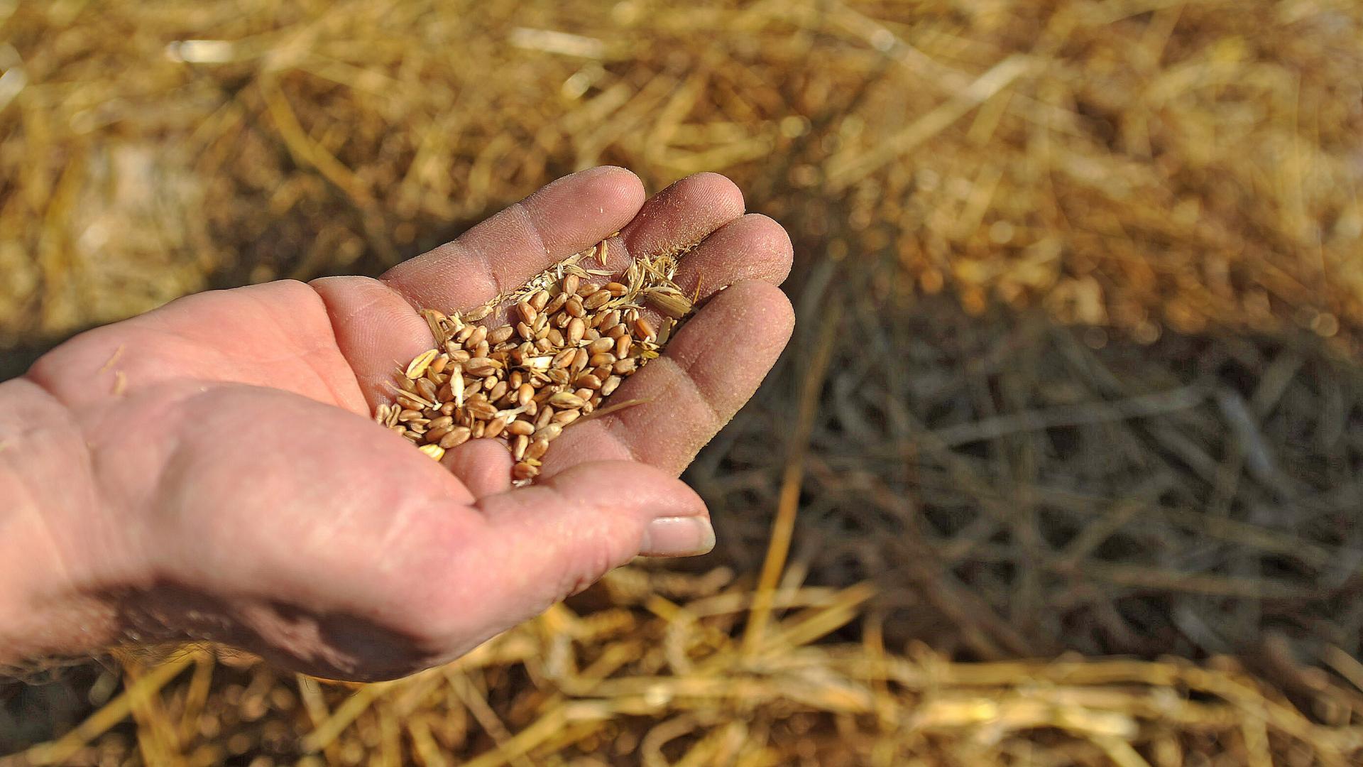 In Gleichnissen schimmert Gott durch