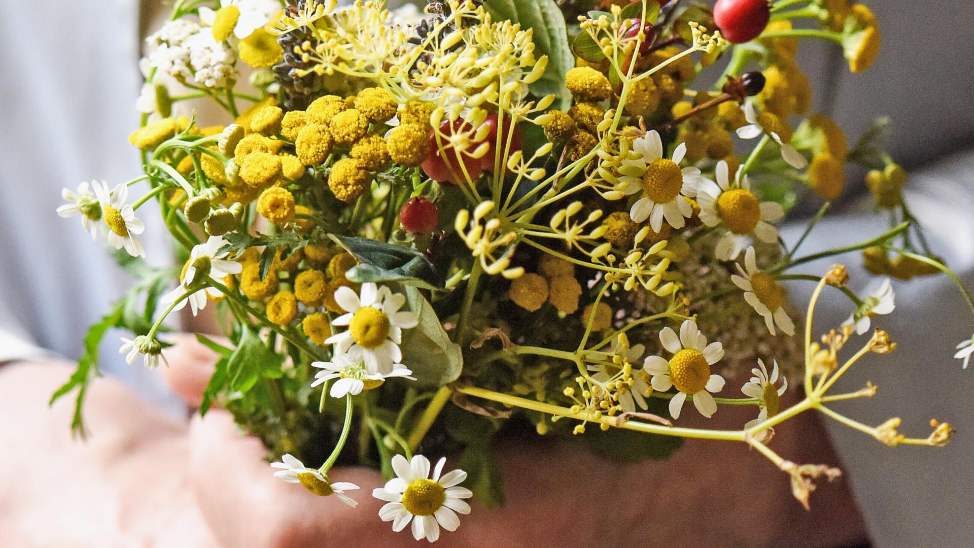Zwei Hände halten einen Strauß aus Kräutern.