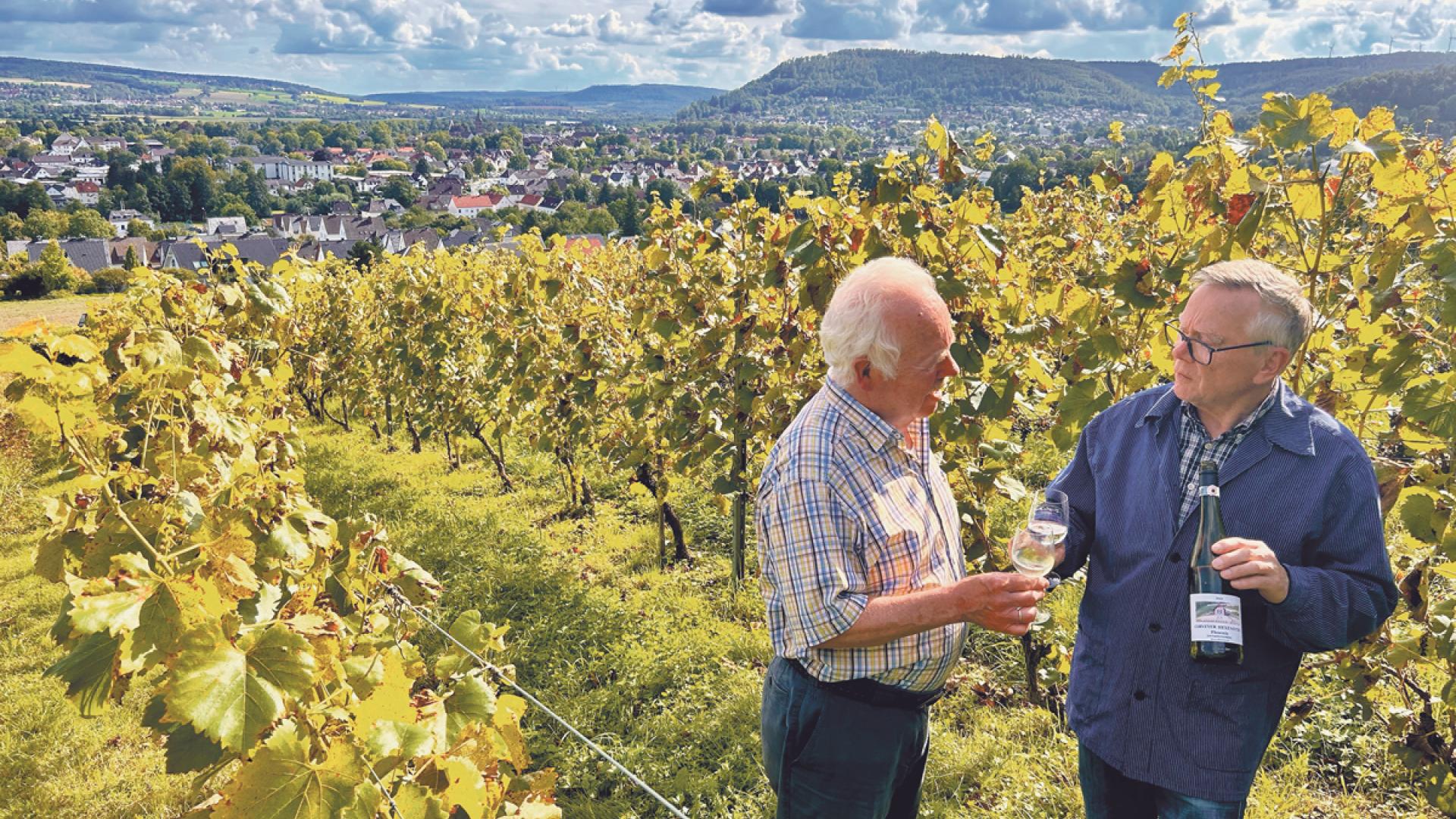 Zwei Männer mit Wein in Rebstock