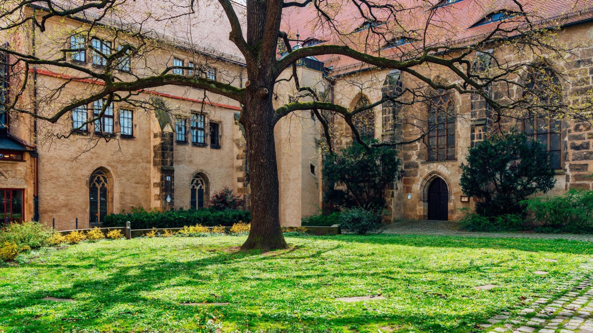 Blick auf einen Baum im Klostergarten und Kreuzgang eines Klosters