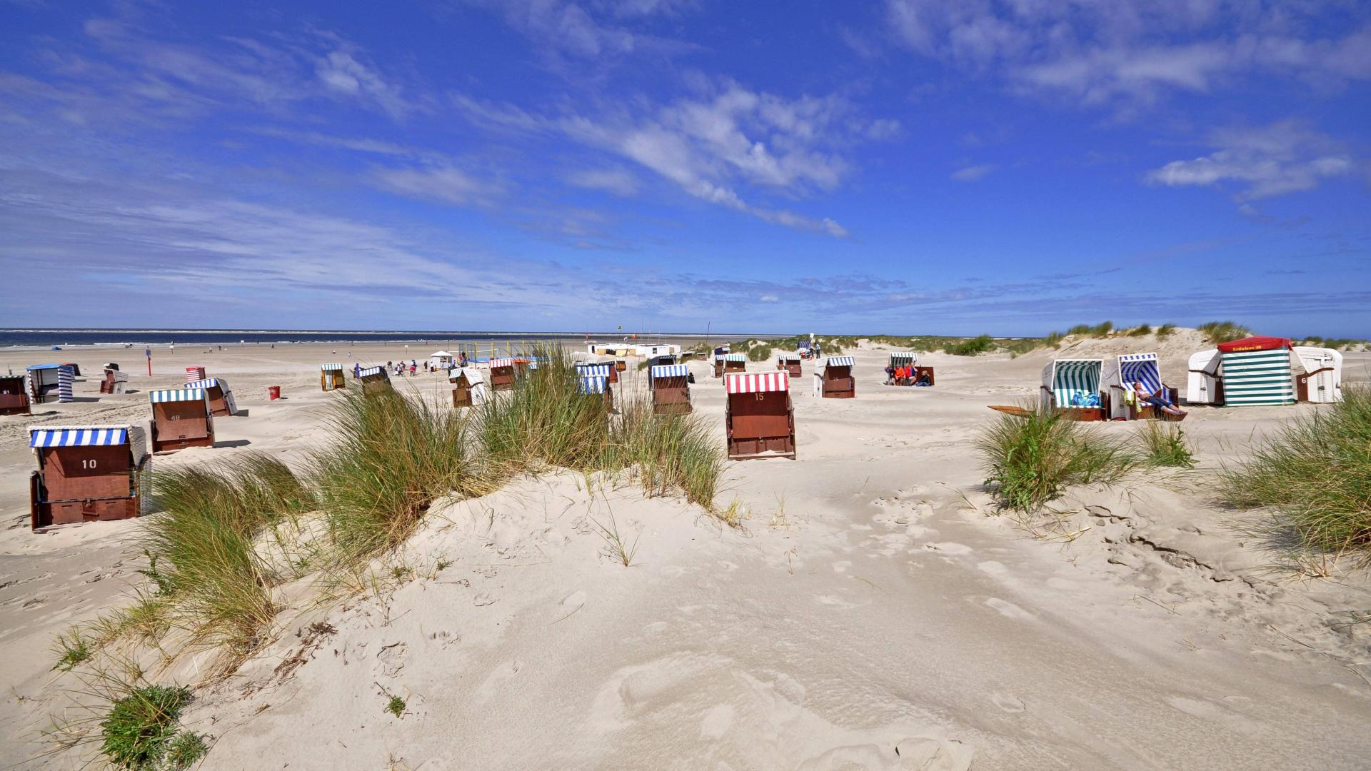 Eine Dünenlandschaft mit Sand und Strand