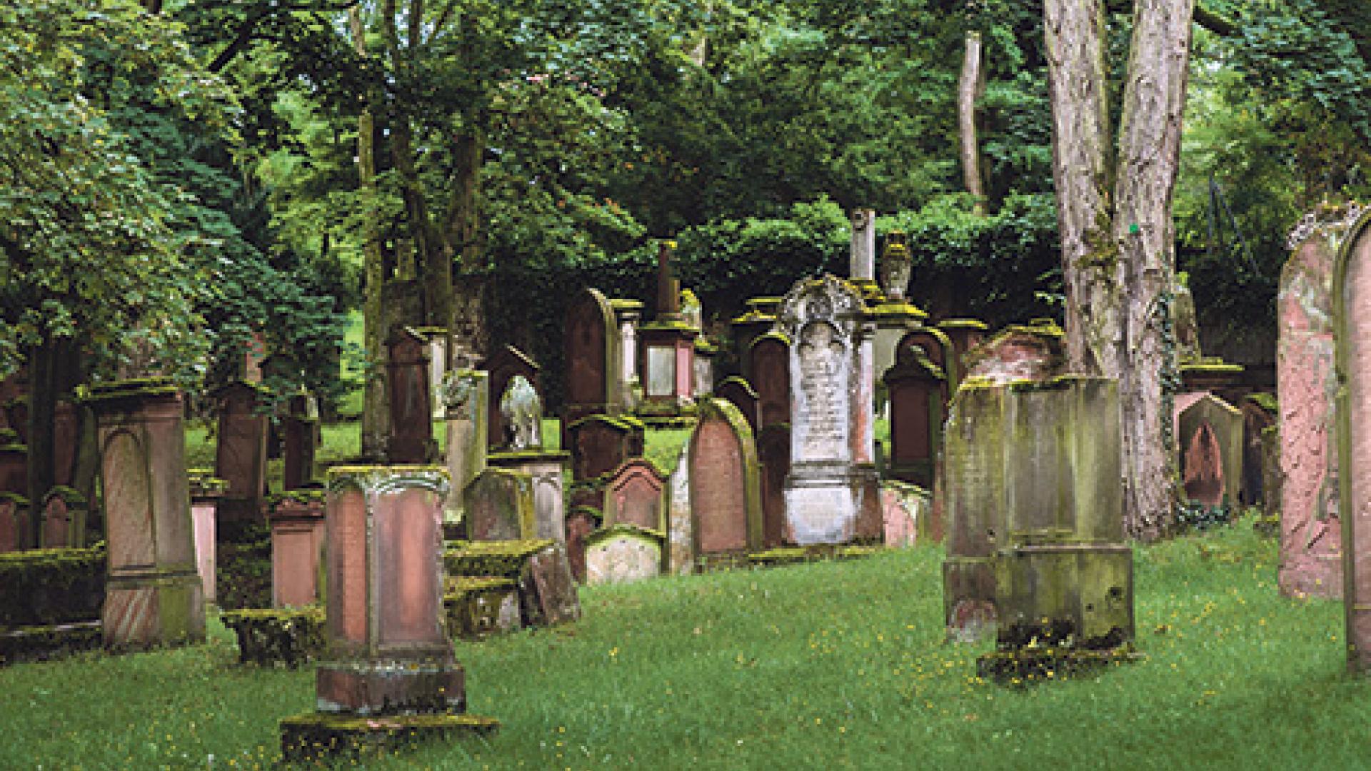 49_Friedhof-Mainz.jpg